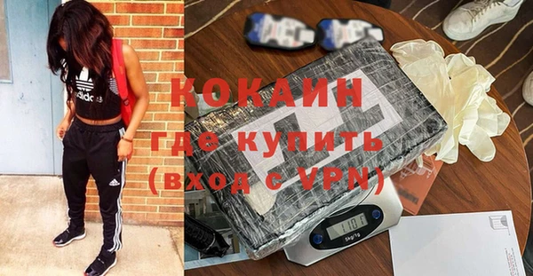 спайс Богданович