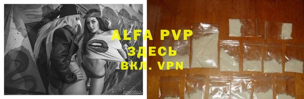 спайс Богданович