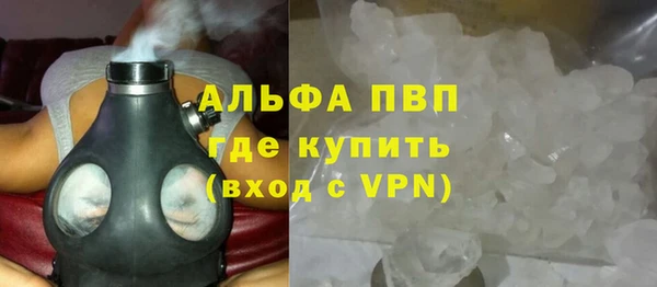 спайс Богданович