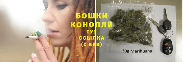 спайс Богданович