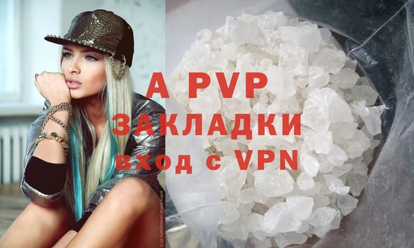 спайс Богданович