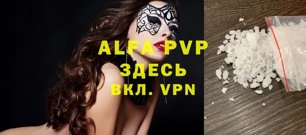 спайс Богданович