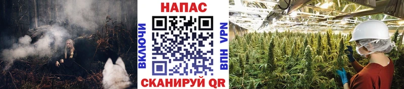 Бошки Шишки планчик  купить наркоту  Юхнов 